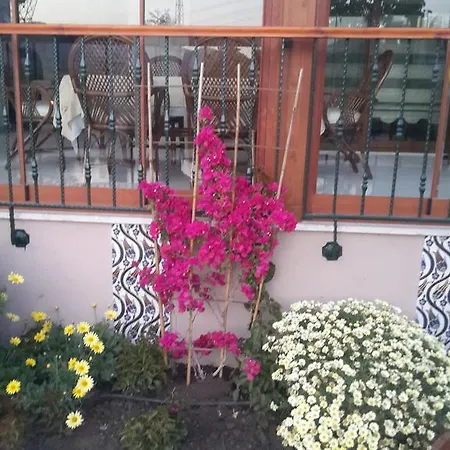 Nick's House * Dalaman