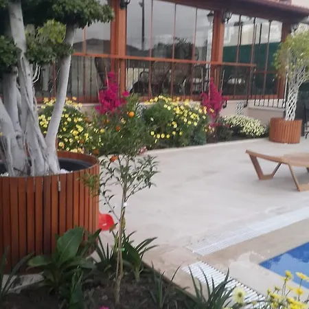 Nick's House